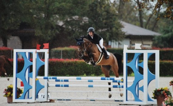 BELLE AMOUR DU REVENTON CH Z