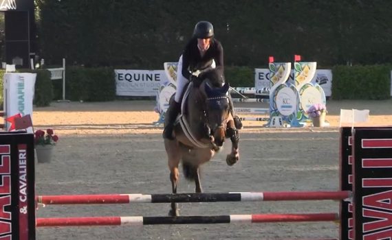 Ultimas Horses for Sale